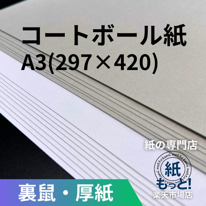 【6/5押さえる10%OFF引き換え証散り散り中】厚地の外套どんぶり鉢  A3   297×420【紙もっと！】 片面白 裏薄墨色 ボール紙 厚紙 ボール紙 仕立て上げる 張りつける物 裏張り 包み 機械 送りとどける用 強化材 折れ押しとどめる カルトナージュ 組みたてるひな形 お面 調査報告手工芸品 油性書き込み相応う 国産 高品質