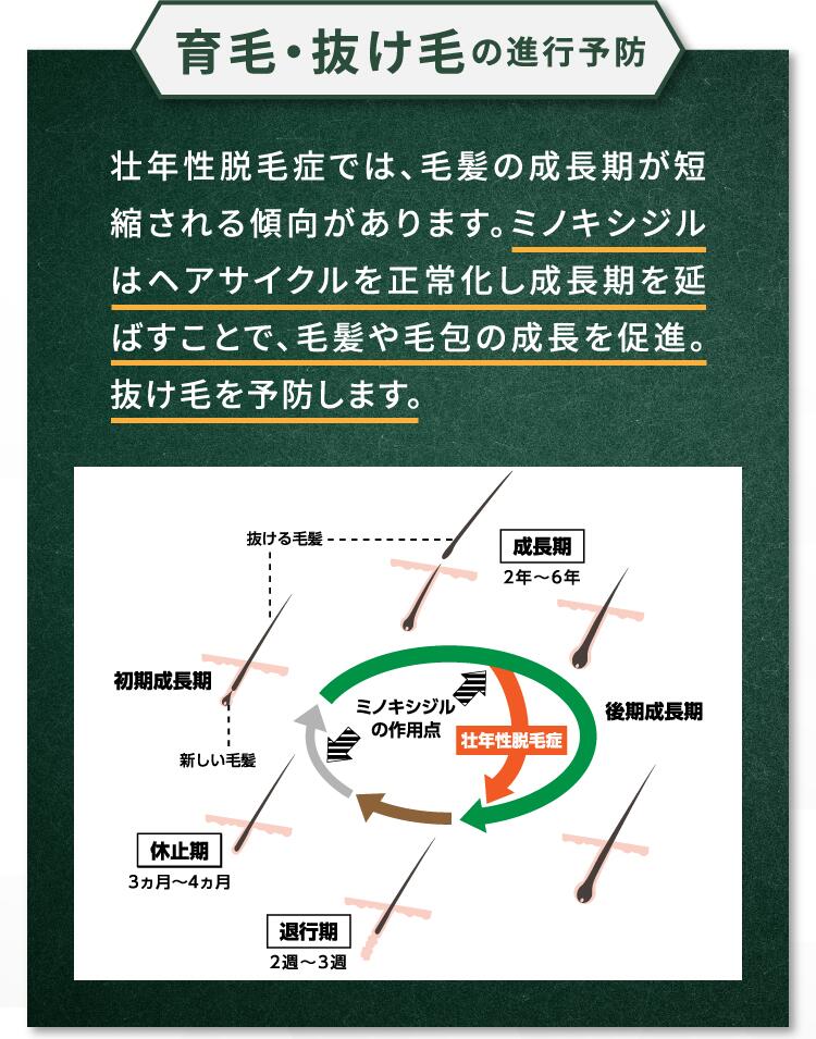 最新人気 ※9月13日より順次発送 送料無料 ミノキシジル 5％ 配合 加美乃素 デルタ 60mL 3本 セット ミノキ 育毛剤 発毛剤 発毛 抜け毛  薄毛 脱毛 aga 男性用 養毛 抜け毛予防 薄毛対策 男性 メンズ fucoa.cl