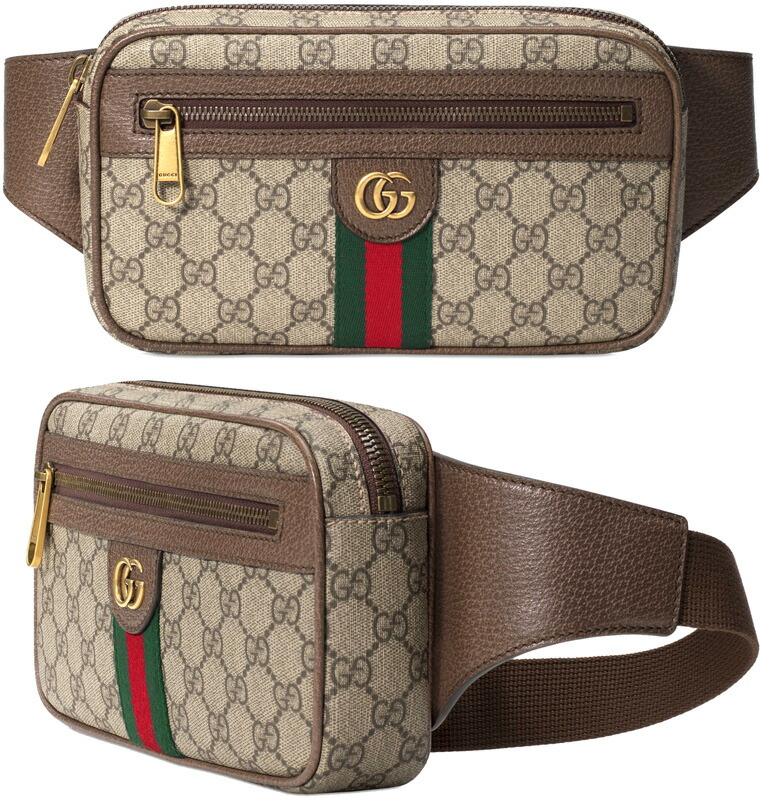 最大56％オフ！ 極美品✩. ˚GUCCI ウエストポーチ econet.bi