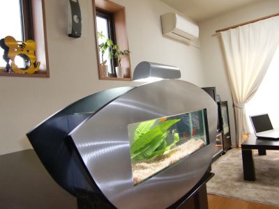 楽天市場 Aqsperia 水槽 インテリア Aquarium アート水槽 デザイン水槽 水槽セット 飼育セット 飼育 置物 金魚 デザイン 小物入れ ファッション ライト付き プレゼント Ftt4 Kaminorth