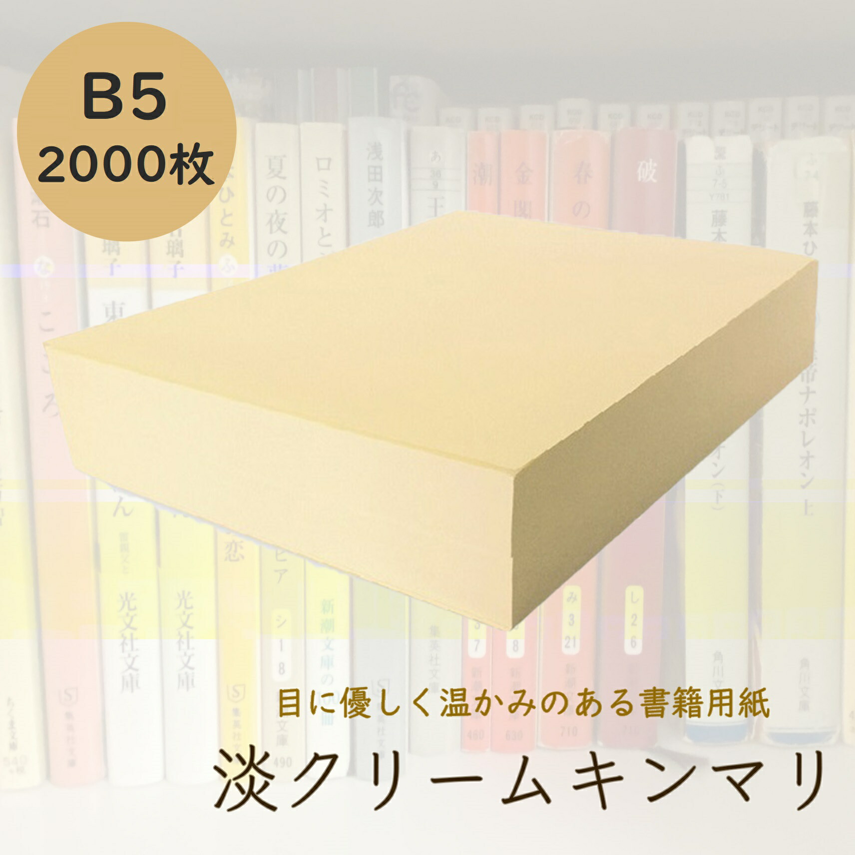 彩美カード紙(淡クリーム) 297×386mm 50枚 kinmari-b5-2000.jpg