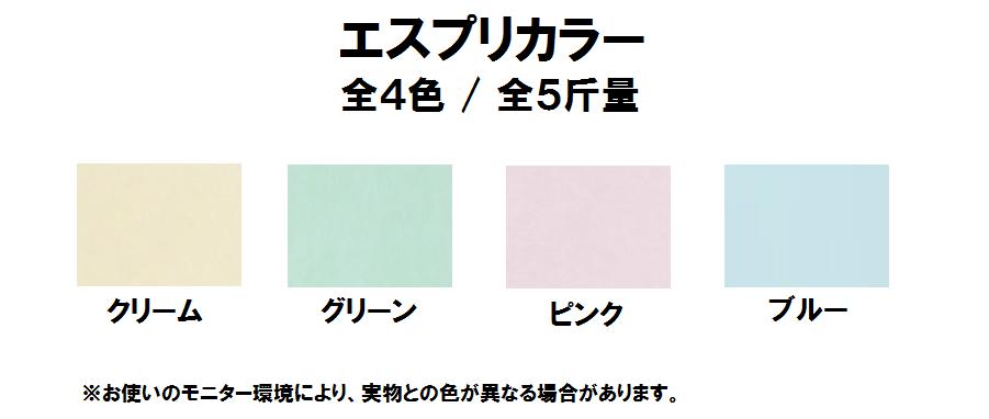 A3 特殊紙 パソコン 周辺機器 エスプリカラー コピー用紙 印刷用紙 A3 品多く 180kg 0 22mm 100枚両面同色の片面キャスト コート エスプリカラー 安心のメーカー直販 100枚 180kg 印刷用カラーペーパー プリンター用紙 キャストコート 印刷用カラー