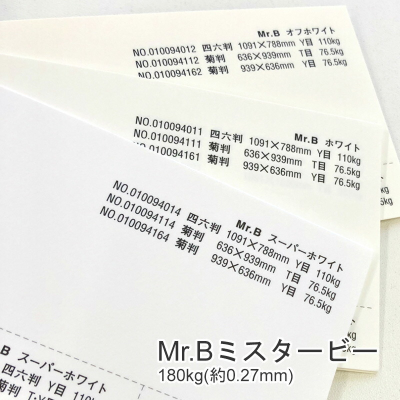 ベイブ 両面プリント 巨大 ポスター 約178cm×122cm WIND BREAKER杉下 京太郎 パーツ付きBIGアクリルスタンド