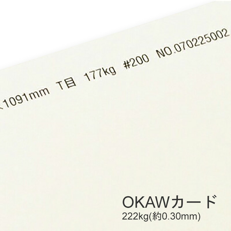 4月最大800円OFFクーポン 【特殊紙】OKAWカード 222kg(0.30mm) B4 100枚 【ファンシーペーパー 印刷用紙 厚い紙 厚紙】