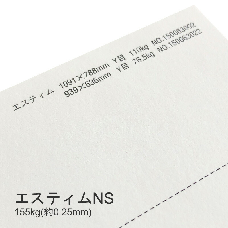SALE限定最大300円OFFクーポン エスティムNS 155kg(0.25mm) B4 100枚