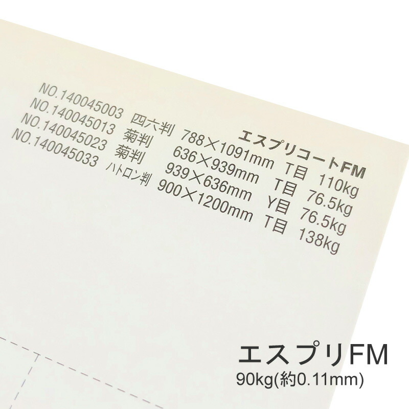4月最大800円OFFクーポン 【特殊紙】エスプリFM 90kg(0.11mm) A3 100枚 【キャストコート 製袋用 ツルツル】