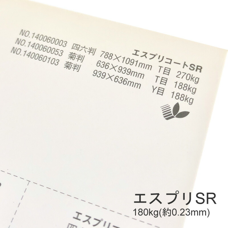 SALE限定最大300円OFFクーポン エスプリSR 180kg(0.23mm) B4 100枚