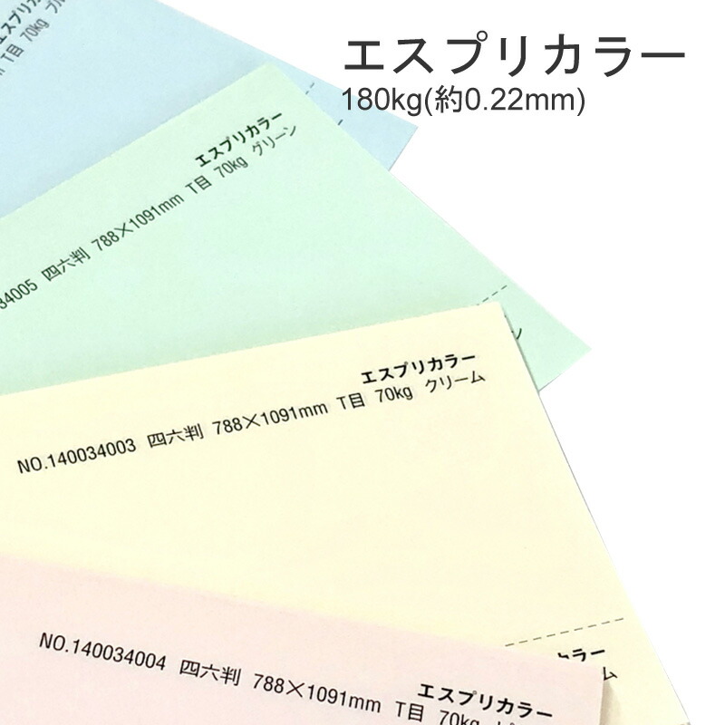 クリアランスサイト 特殊紙 エスプリカラー 180kg 0 22mm A3 100枚 プリンター用紙 キャストコート 入荷済 Aquaart Ca