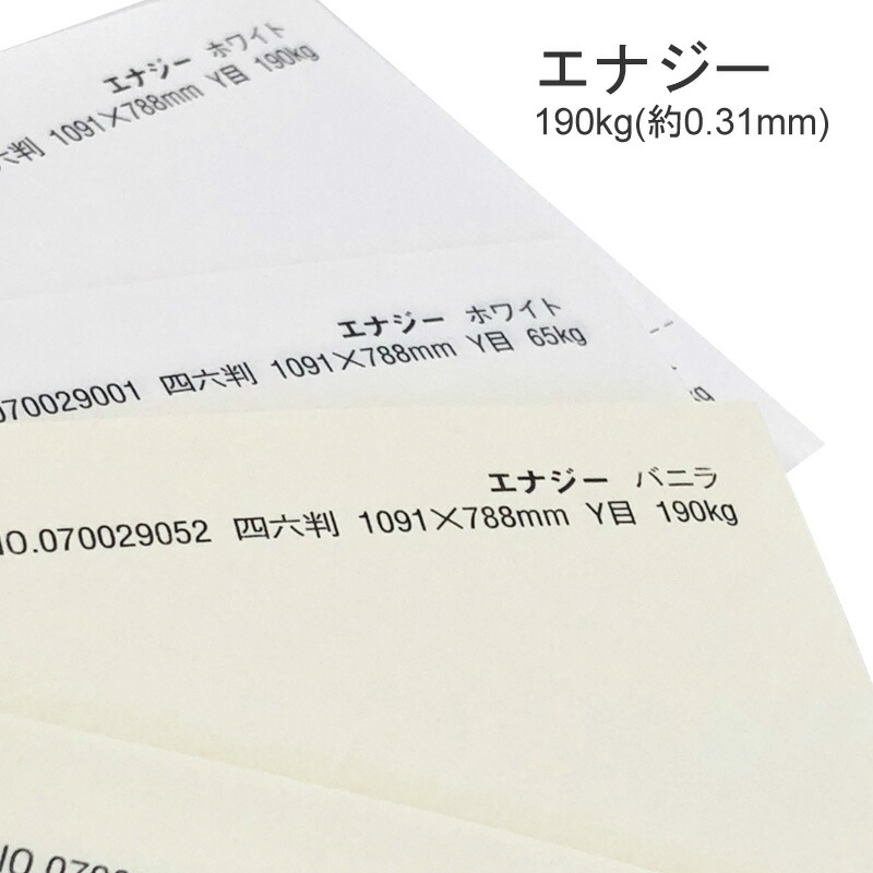 楽天市場】12月最大800円OFFクーポン 【特殊紙】ミセスB-F 110kg(0.16