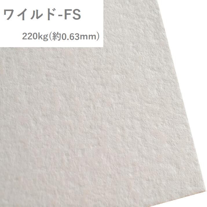 4月最大800円OFFクーポン 【特殊紙】ワイルド-FS 220kg(0.60mm) A4 100枚 【ファンシーペーパー ラフ　ごわごわ　白い紙　厚い紙】