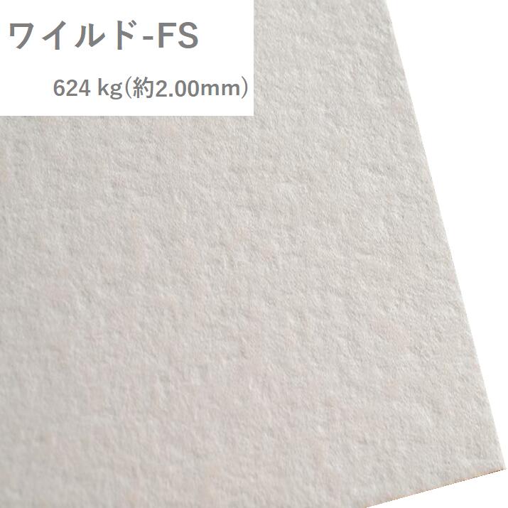 4月最大800円OFFクーポン 【特殊紙】ワイルド-FS 624kg(2.00mm) A4 25枚 【ファンシーペーパー ラフ　ごわごわ　白い紙　厚い紙】