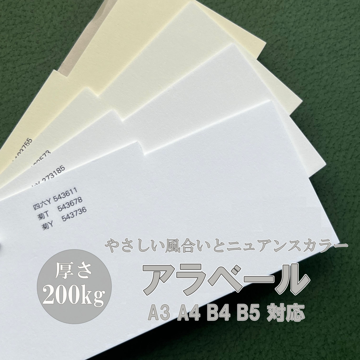 新品未使用　カメリアファンベール フォルティア300 ゼブラ 油性ボールペン 【通販モノタロウ】