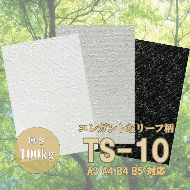 楽天市場】12月最大350円OFFクーポン 【特殊紙】ＷＰＨＯエンボス 110kg(0.17mm) A4 50枚【インクジェット用紙 レーザープリンター用紙  エンボス 絹目】 : KAMIOLSHOP 楽天市場店