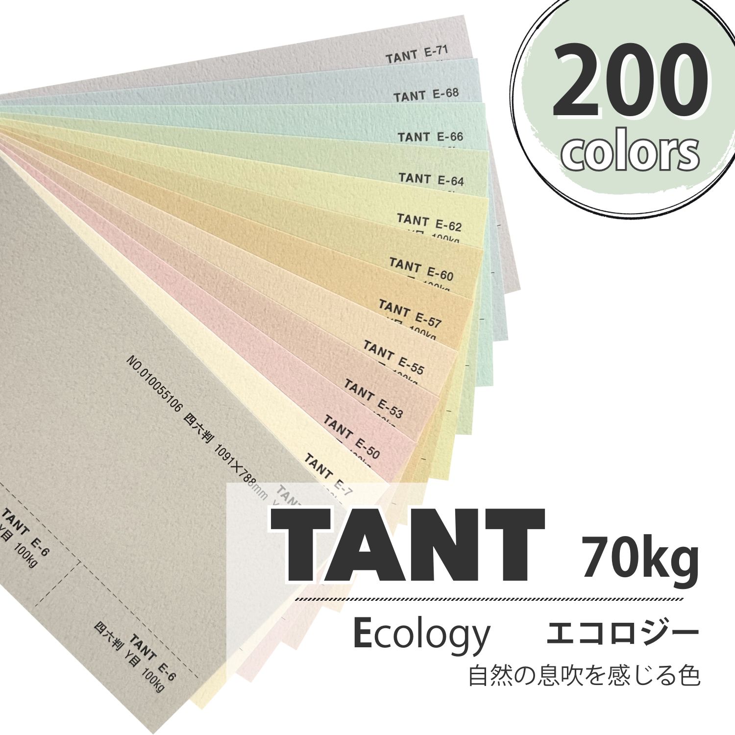 楽天市場】11月最大800円OFFクーポン 【特殊紙】五感紙 荒目 90kg(0.13