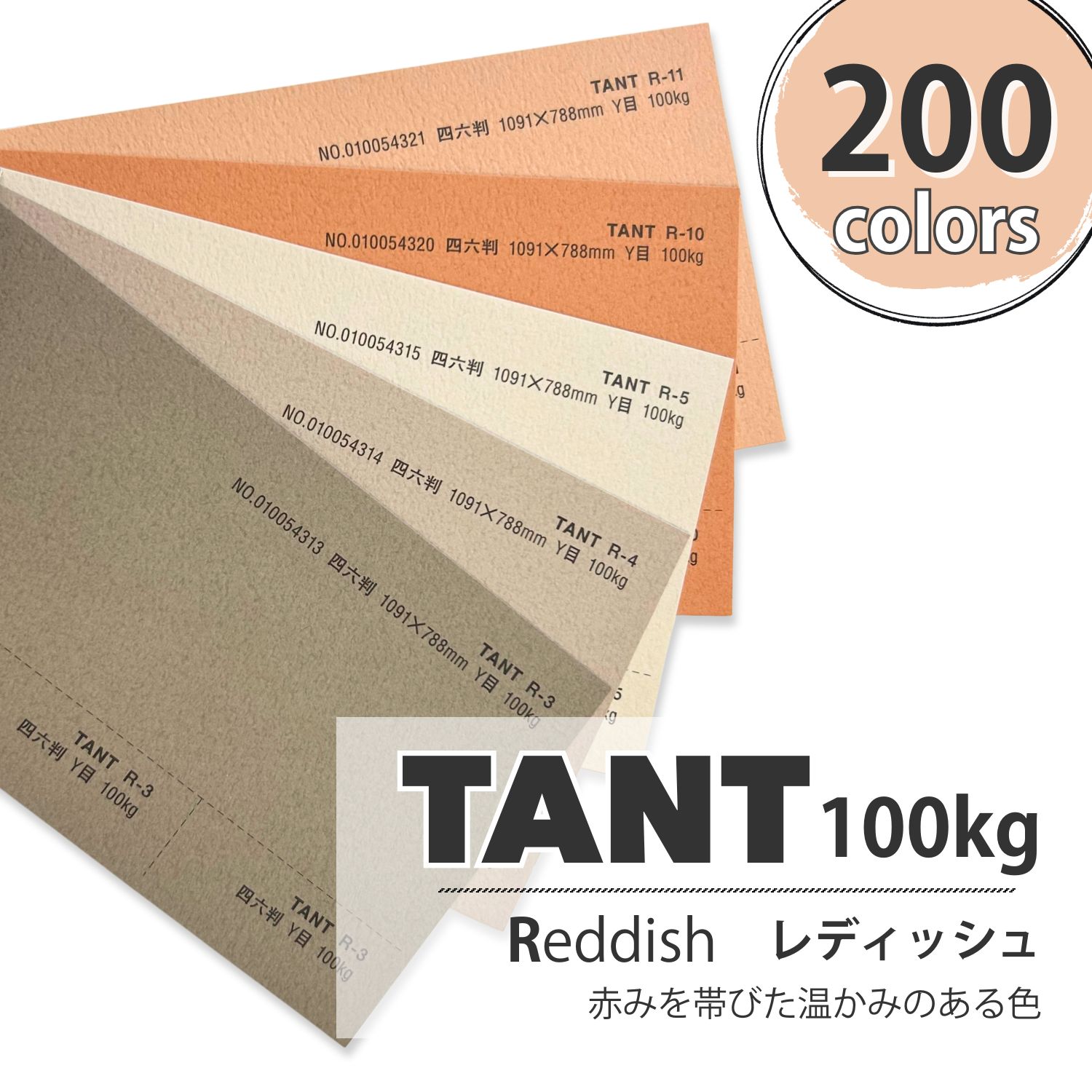 楽天市場】2月最大800円OFFクーポン 【特殊紙】タント 100kg(0.18mm) N