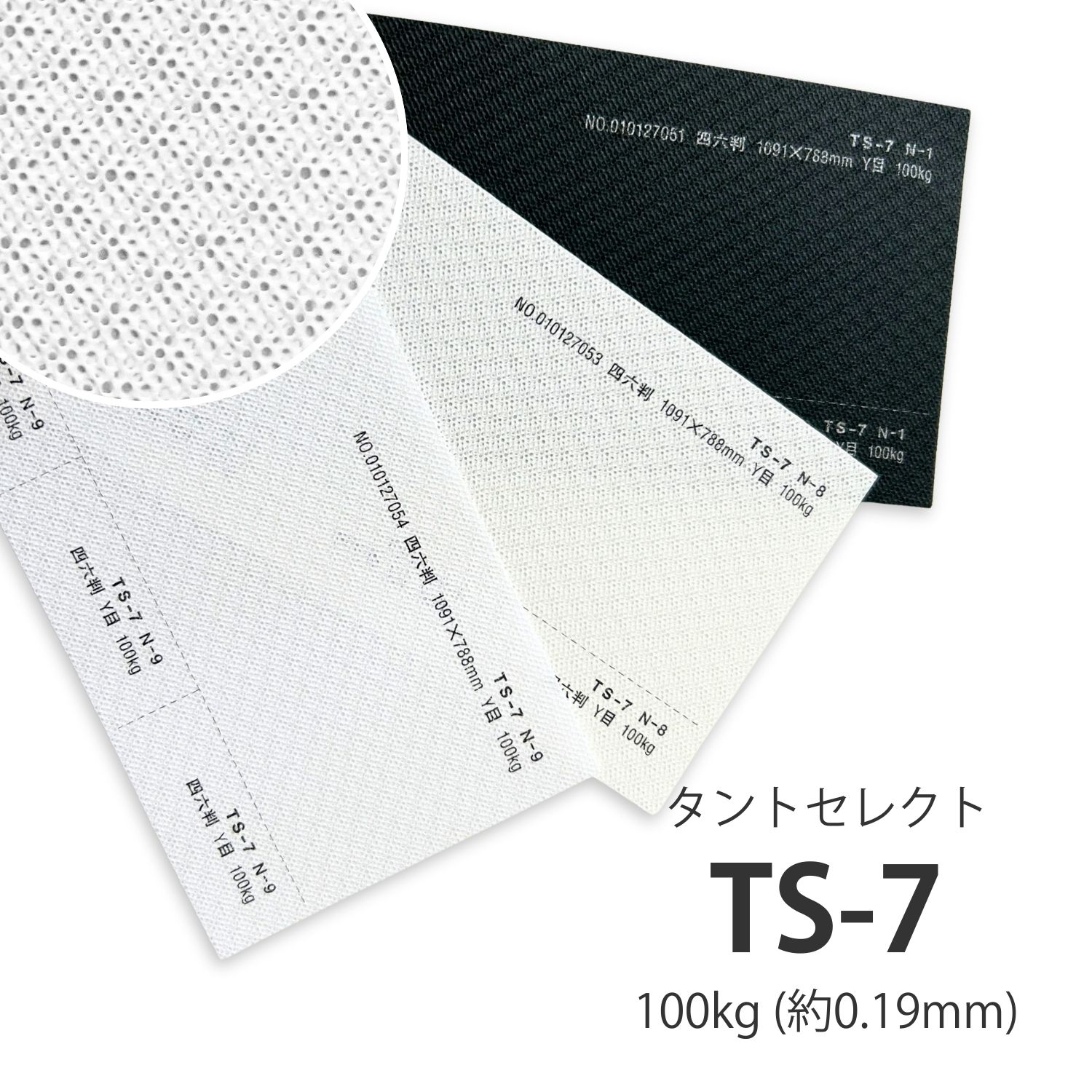 楽天市場】2月最大800円OFFクーポン 【特殊紙】TS-10(タントセレクト10