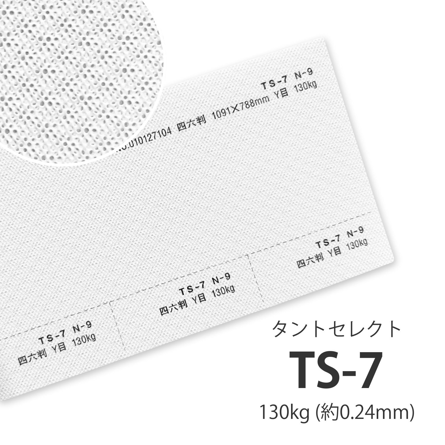 楽天市場】2月最大800円OFFクーポン 【選べる6色】 TS-9(タント