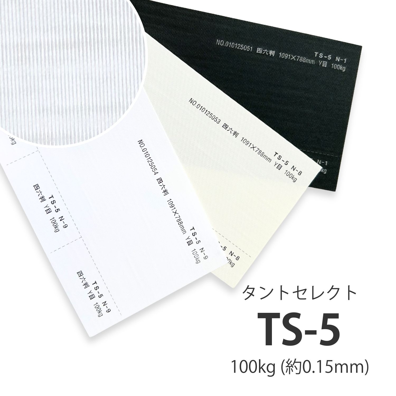 楽天市場】2月最大800円OFFクーポン 【特殊紙】TS-10(タントセレクト10