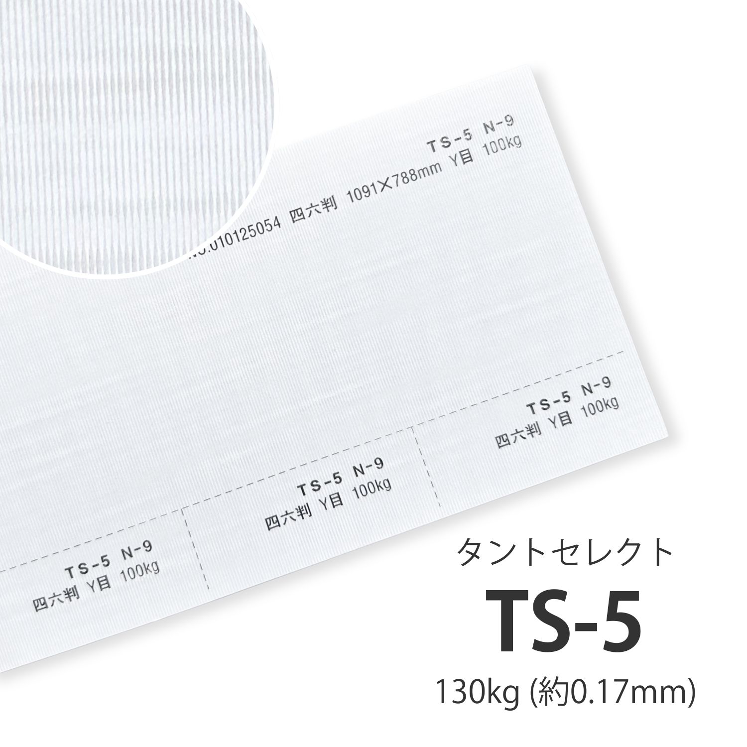 7月最大800円OFFクーポン 【特殊紙】TS-5(タントセレクト5) 130kg(0.17mm) A3 100枚【ファンシーペーパー 印刷用紙 型押し模様 エンボス 押し花 用紙 タグ 貼り箱】｜KAMIOLSHOP 店