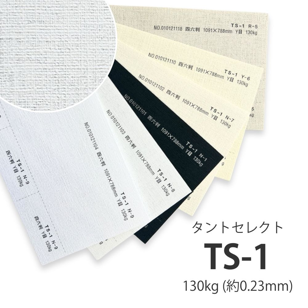 楽天市場】5月最大800円OFFクーポン 【特殊紙】TS-1(タントセレクト1