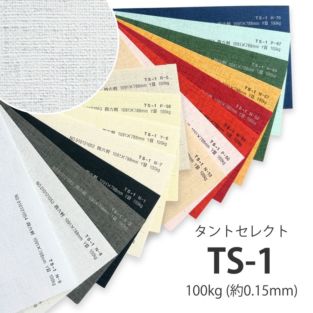 楽天市場】5月最大800円OFFクーポン 【特殊紙】TS-1(タントセレクト1