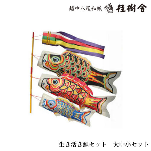 楽天市場】桂樹舎 069 鯉のぼりセット 大中小セット 日本の心がこもる