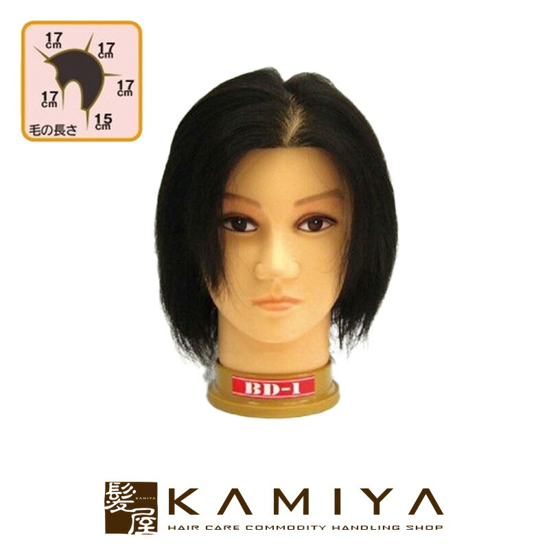 【LINE登録で300円クーポン】メンズウィッグ BD-1 ハチ周り 約54cm 人毛100%|ヘアカット カット練習 マネキン セット練習用 マネキン 練習用 マネキン ヘッド 新人 研修 トレーニング ヘアケア サロン専売 美容室専売 美容院 美容師 おすすめ 人気 ランキング