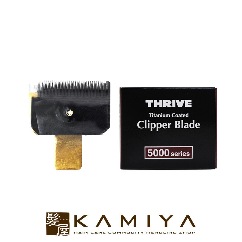 楽天市場】【LINE登録で300円クーポン】スライヴ 電バリ替刃 5500系