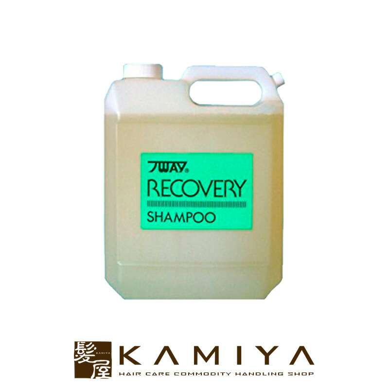 送料無料 ニューウェイジャパン パイウェイ リカバリー シャンプー 4000ml 業務用 リカバリーシャンプー エコパイ 詰め替え用 詰替 レフィル 大容量 頭皮ケア スキャルプ スカルプ ヘアケア サロン専売 美容室専売 美容室 美容院 髪屋 驚きの値段 Staging3