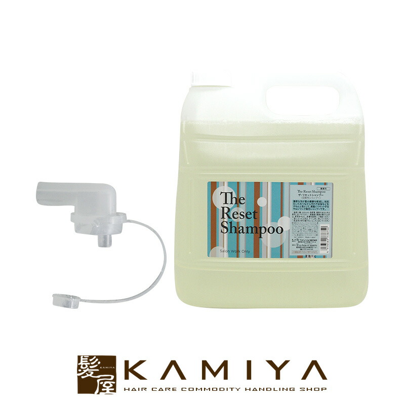 楽天市場】【LINE登録で300円クーポン】資生堂 プロフェッショナル