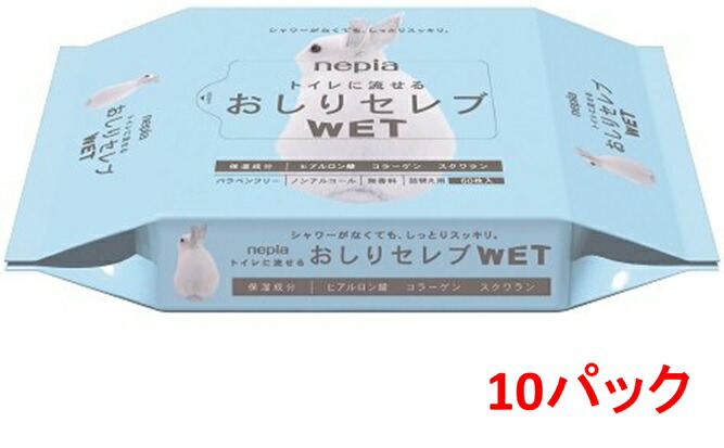 ギフ_包装】 王子ネピア ネピア おしりセレブWET 詰替え 60枚入り 無香料 10パック入り まとめ買い 送料無料  somaticaeducar.com.br