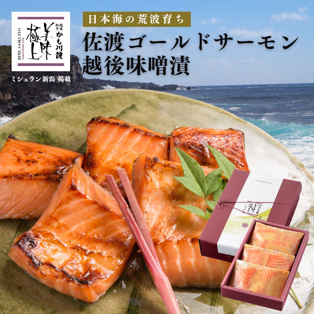 料亭 魚 ギフト 佐渡ゴールドサーモン越後味噌漬 12切 セット 化粧箱入り サーモン さけ シャケ 漬け魚 鮮魚 海鮮 味噌 切り身 生切り身 焼き魚 ご飯のお供 おにぎり 手土産 高級 グルメ 酒の肴 新潟 お取り寄せグルメ お取り寄せ 切身 漬け ごはんのおとも