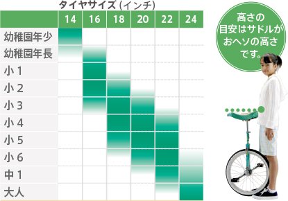 市場 取寄 フラミンゴ 一輪車 ノーパンクタイヤ 日本一輪車協会認定商品 ミヤタ