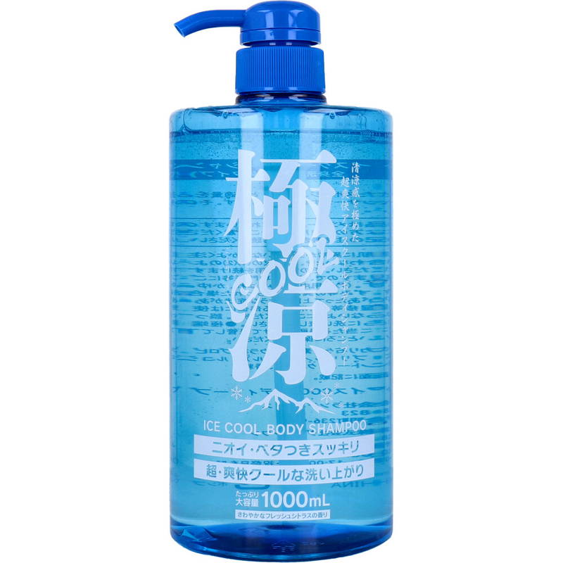楽天市場】【nk】 極涼 アイス ボディシャンプー (1000mL) クール