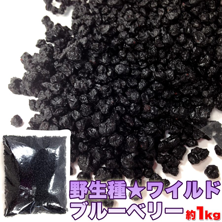 野性素 ワイルドブルーベリー過激腕前 1kg ブルーベリー 乾性フルーツ 生む Qsi Cert Com