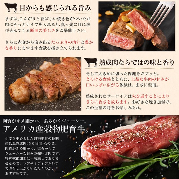 熟成 サーロインステーキ 約450g 約150g×3 熟成肉 冷凍 アメリカ産牛肉 定番の中古商品