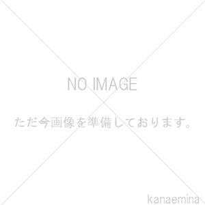 ダイキン 空気清浄機用 集塵フィルター Daikin 純性部品 正規品 交換用 KAFP092A4