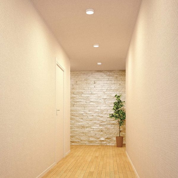 小型シーリングライト 傾斜天井対応 壁面 天井面兼用タイプ 昼白色 白熱灯器具60w相当 Soundtennis Net