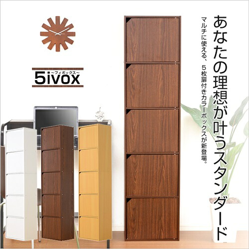 A4サイズ収納OK 扉付きカラーボックス -5ivox-フィボックス[送料無料]