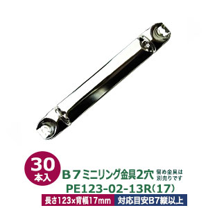 B7縦ミニリング金具【PE123-02-13R(17)】【サイズ 長さ123mm ×背幅17mm　2穴】【材質：鉄 】30本入１袋