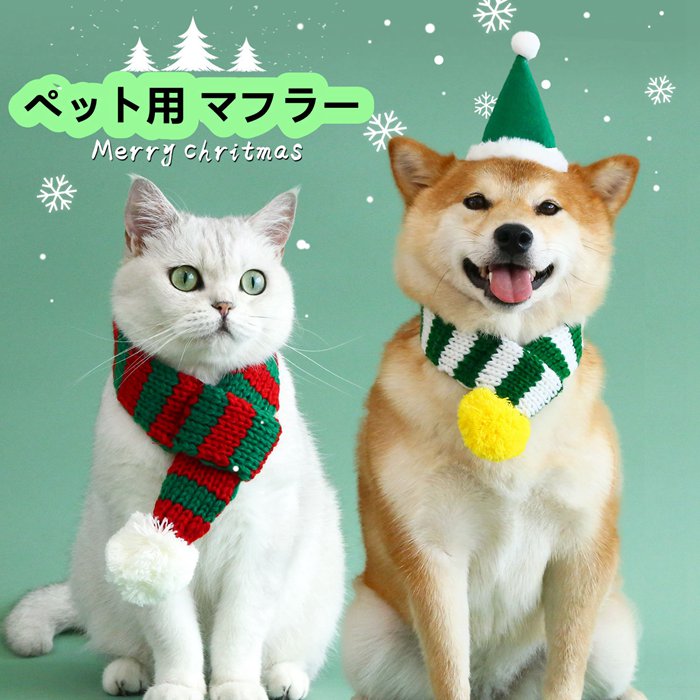petlw011.jpg