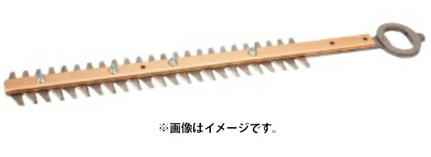 ハル✾ a-74675-1.jpg