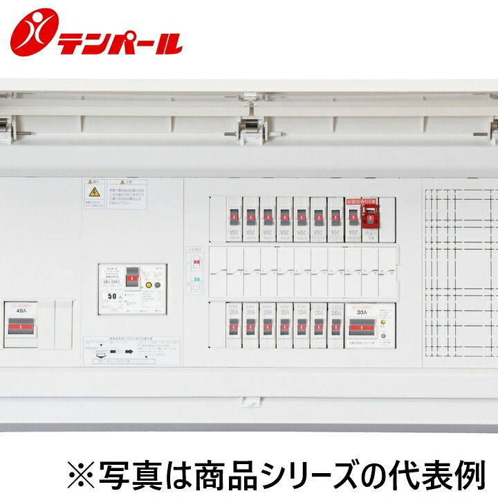 十パール製作 MALG36101IT2B4NP[MALG-IT2B4NP 60A 10+1] 住みか用分電盤 パールテクト【太陽の光発生取り合わせ用】【扉付】【属する設備打っ付けあき場所】 Ψ