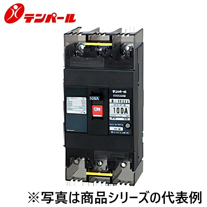 テンパール工業　B102ED05FS2TB[B-102ED 50A SHT(100-200V)]　配線用遮断器 Eシリーズ【経済タイプ】【埋込型】【端子台】　Ψ