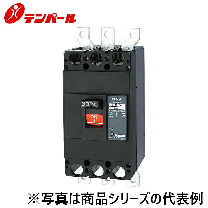 テンパール工業　B402EA25F[B-402EA 250A]　配線用遮断器 Eシリーズ【経済タイプ】【埋込型】　Ψ｜住設建材カナモンジャー