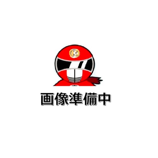 三菱電機 VL-12RKH3 換気ファン 風通し空清機天使の都市ナイ 準冷ややかさ地・生あたたかい地遣りかた 手っとり早い排気ガス付印字機 無線電話遠隔操作印字機 透かし彫り印字機  〇