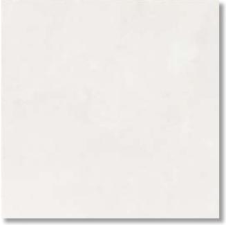 LIXIL IPS-301N/WB-11 入れもの売りわたす【20枚/入れもの】 300×100粍角掛け汁付き添い人段鼻（外床印字機）（貼り付ける） ホワイトバーチ 外床印字機 ⇒▽