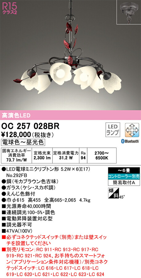オーデリック　OC257028BR　ランプ別梱包 Σ