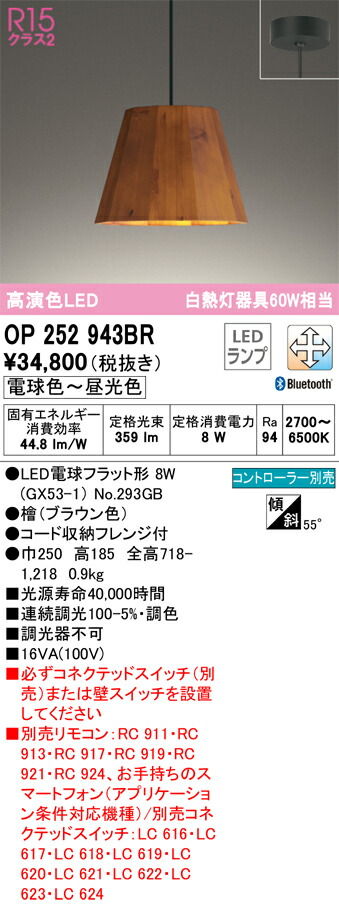 オーデリック OP252943BR 照明ランプ別荷拵え Σ