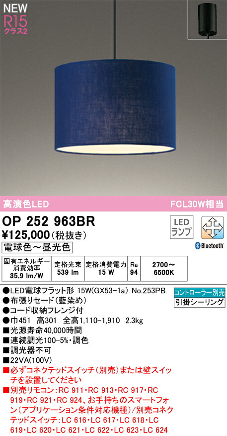 オーデリック　OP252963BR　ランプ別梱包 Σ